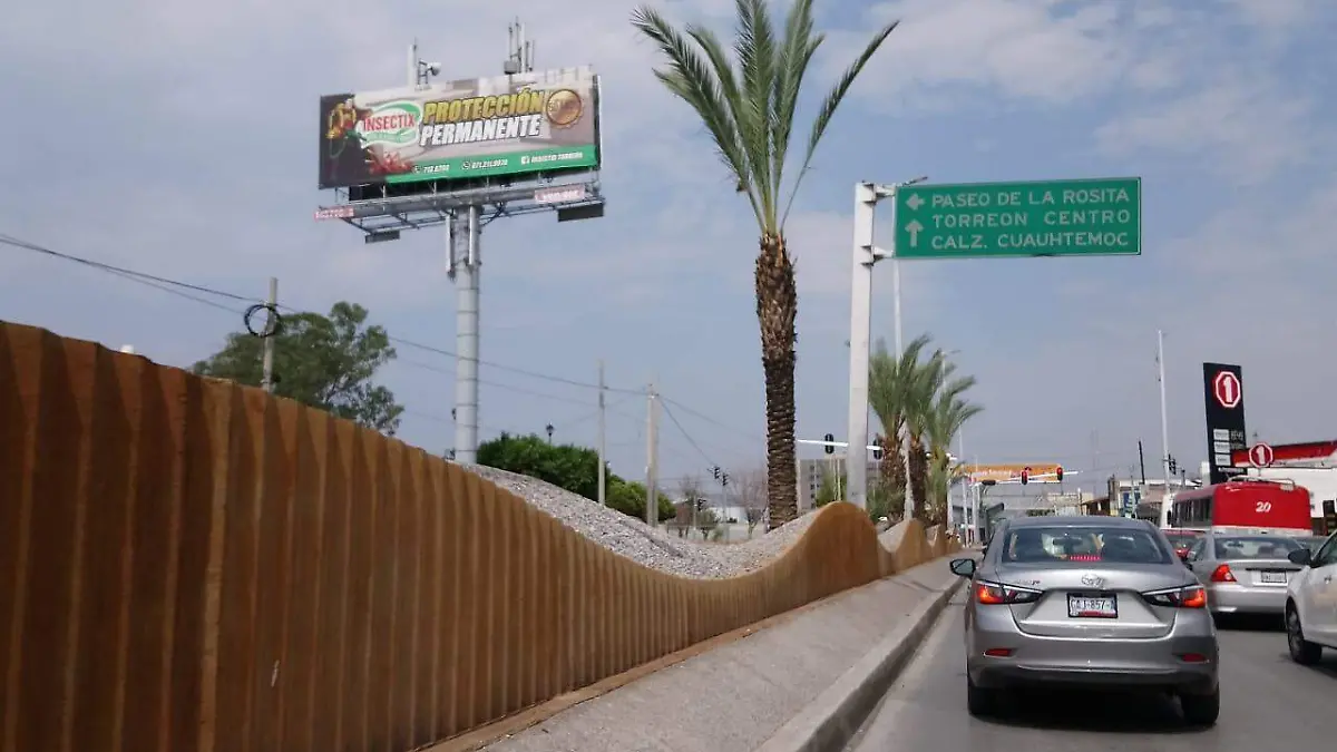 11 MIGUEL 3 Adornarán ruta del BRT con más palmas y plantas nativas